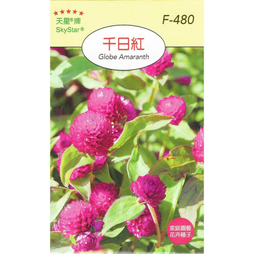 四季園 千日紅【穗耕種苗】天星牌 花卉原包裝種子 花語: 永恆的愛、不朽的戀情. 保證新鮮種子