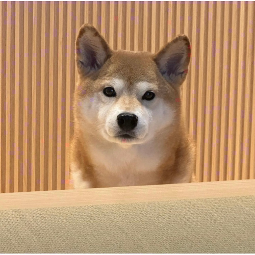 大福媽