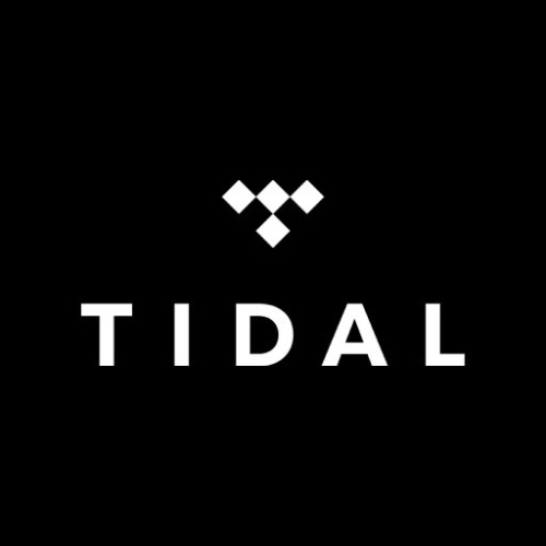 Tidal high plus個人會員