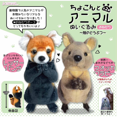 阿猴達可達 日本限定 袋鼠 浣熊 抱枕 大抱枕 仿真抱枕 38cm 動物園裡受歡迎的動物 全新正日貨