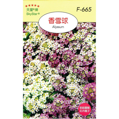 四季園 香雪球【穗耕種苗】天星牌 花卉原包裝種子 花語:甜蜜的回憶 新鮮種子