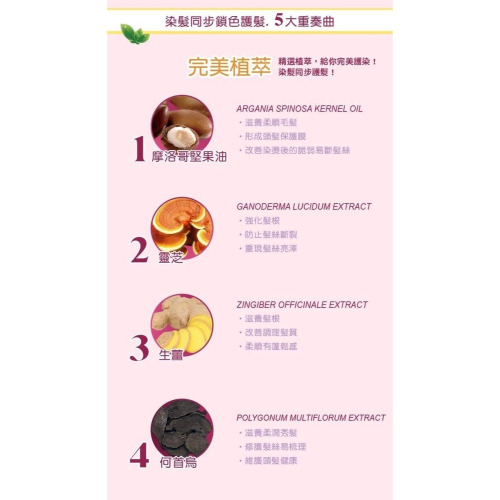 夢17泡泡染 曜石黑/星鑽棕/深栗紅,共36盒(可混)