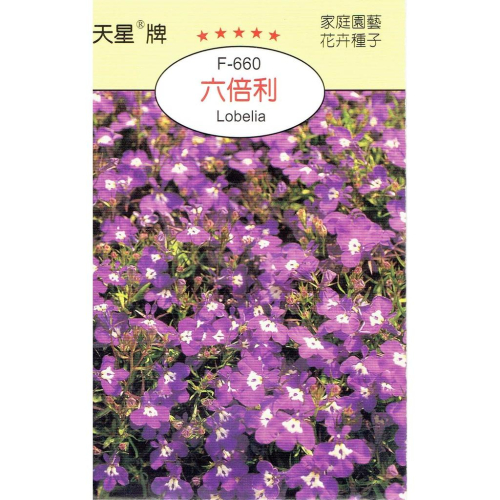 四季園 六倍利 【穗耕種苗】天星牌 花卉原包裝種子 花語:誘惑 新鮮種子