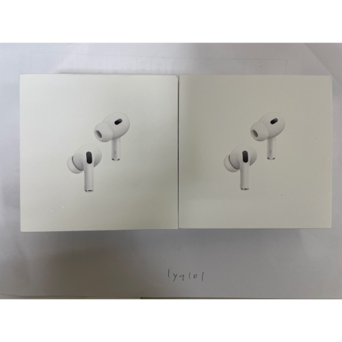 Apple AirPods Pro2 usb-c