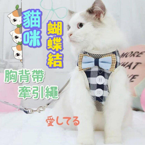 貓咪蝴蝶結牽引繩，紳士胸背帶，時尚貓繩，可愛遛貓套裝，背心衣服，防掙脫寵物裝，外出繩，貓主子