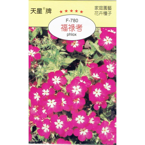四季園 福祿考【穗耕種苗】天星牌 花卉原包裝種子 新鮮種子