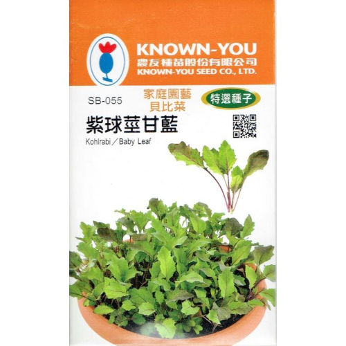 貝比菜-紫球莖甘藍【農友種苗】baby菜 原包裝種子 播種期秋-春季 20天即可採收 辦公室或單身的最佳選擇