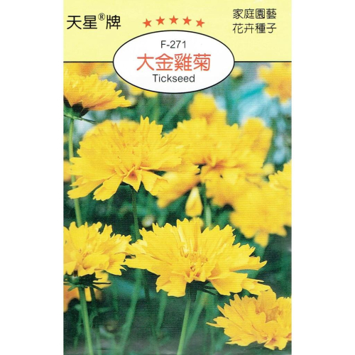 四季園 大金雞菊【穗耕種苗】天星牌 花卉原包裝種子 保證新鮮種子