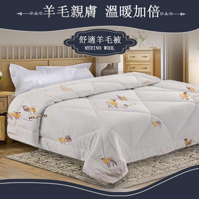 現貨 免運 ｜ 3KG皇家御璽100% 羊毛被 美利諾Merino 吸濕透氣 恆溫保暖 6x7尺 180x210cm