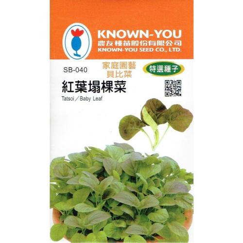 四季園 紅葉塌棵菜【農友種苗】特選蔬菜種子 貝比菜 baby菜 種子整年可播種 20天即可採收