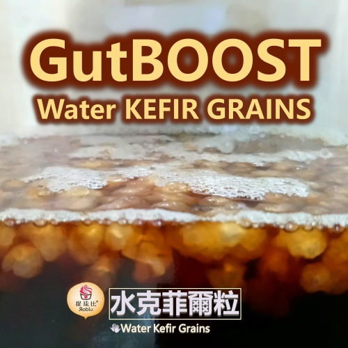 DIY療癒小物! | 水克菲爾粒 Water Kefir Grains | 發酵飲DIY 益生菌種【提琉比長壽村】