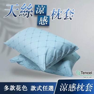 現貨 快速出貨 ｜ 正40支 100%天絲信封式枕套 天絲枕套 1對 (花色隨機) 枕套 信封式枕套