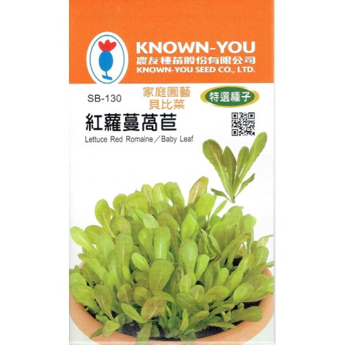紅蘿蔓萵苣【農友種苗】貝比菜 baby菜 種子 20天即可採收 辦公室或單身的最佳選擇 播種期:秋至春