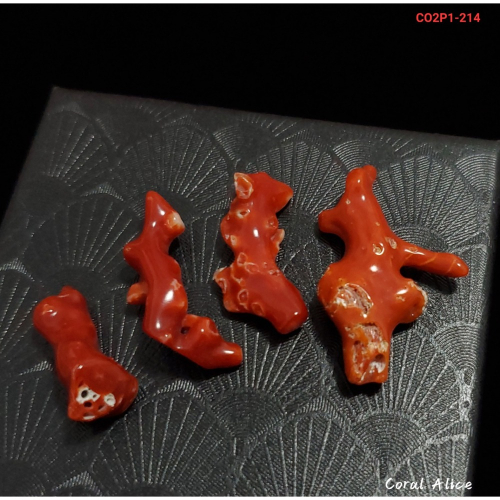 ?Coral珊寶手作-天然阿卡珊瑚自然枝段(無孔) 21.1-33.6mm CO2P1-214