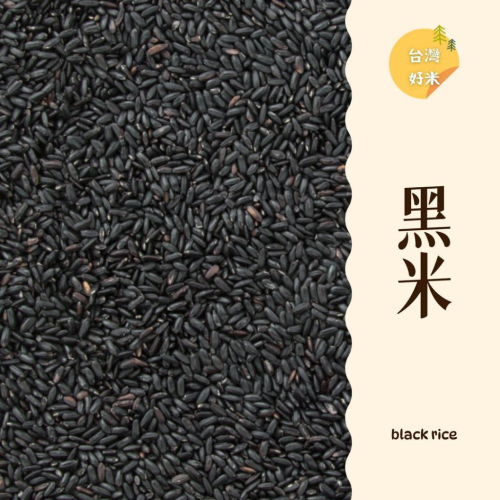 ｜大台南五穀糧倉｜600g 1斤 黑米 黑糙米 台灣黑米 台灣好米 食用米 免浸泡 滿滿花青素 五穀雜糧