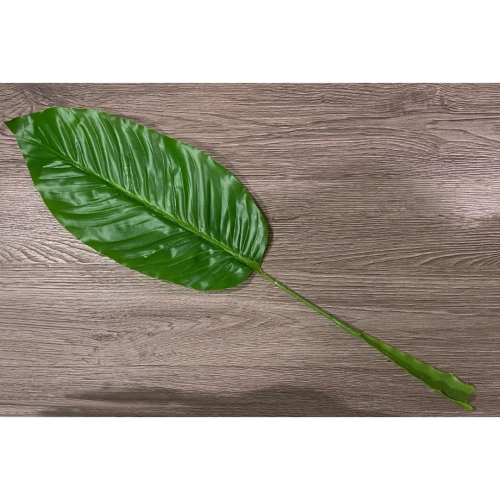 人造植物葉(一組 9片) 觀賞性人造植物 仿植物: Aspidistra 長58.5cm 寬14.5cm 全新品