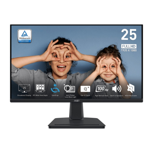 MSI 微星 PRO MP251 25型 商用螢幕