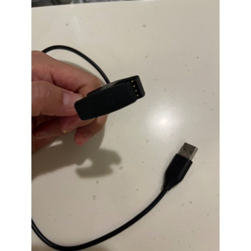 Garmin Lily2 充電線+錶帶轉軸