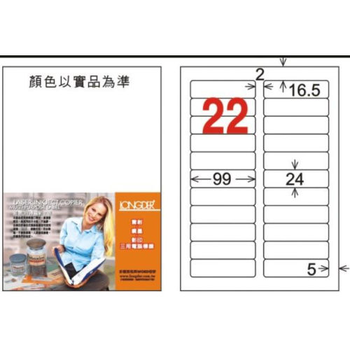 龍德 LD-851-W-C A4 電腦標籤 ( 24 * 99 mm ) 白色 22格 20張入
