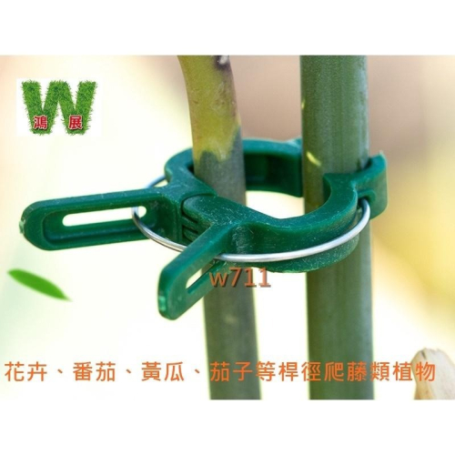 番茄夾 水果夾 枝條夾 金魚造型 園藝夾子 葡萄 盆栽 番茄枝條夾 爬藤類植物 藤類枝條 w711 鴻展