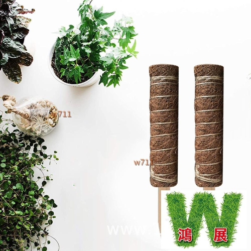 椰棒 椰纖棒 可串接組合 龜背芋攀爬 爬藤架 爬藤支架 植物爬藤架 爬藤 觀葉植物 觀葉土 w711鴻展