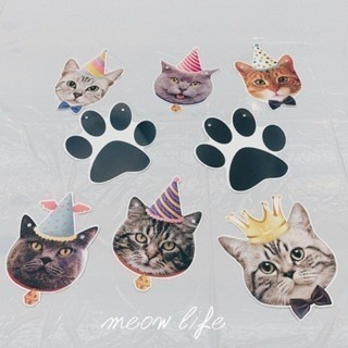 Meow life 貓咪 兒童 生日 派對 布置 桌巾 免洗餐盤 紙盤 紙杯 餐巾紙 裝飾 用品 [台灣現貨]