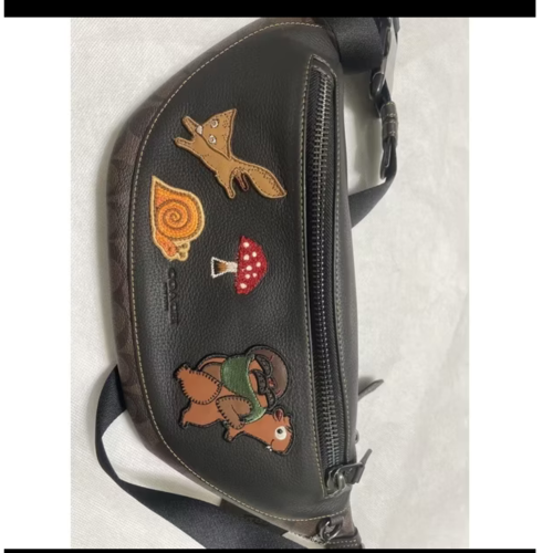 COACH單肩包腰包(日本購入)傑克商店
