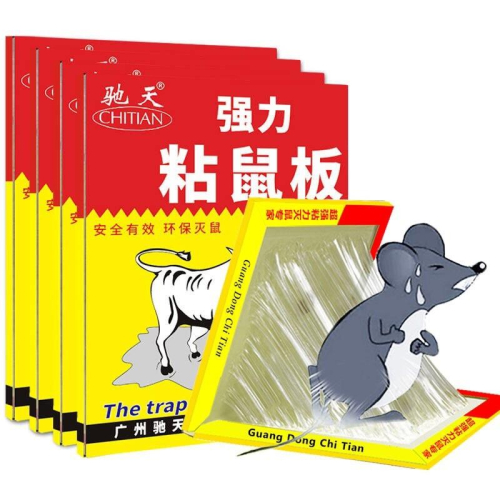 家裡在1樓做餐廳難免有一兩張老鼠版是正常的