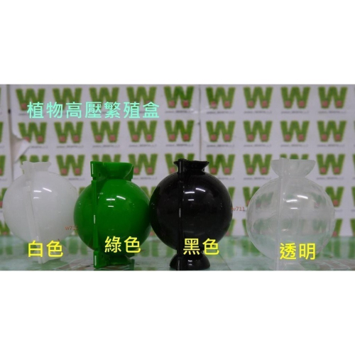 嫁接球 植物繁殖盒?送4條束帶? 生根器 植物 高壓 繁殖盒 高壓生根盒 繁殖球 扦插嫁接 w711鴻展