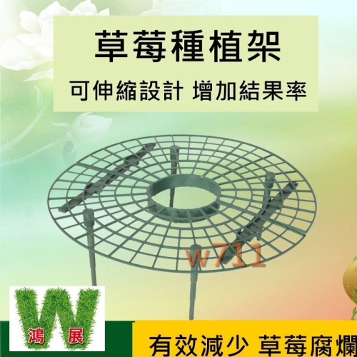 草莓 種植架 草莓架 架高墊 草莓墊 防爛果 草莓果實 離地支架 園藝花架 陽臺盆栽 w711鴻展
