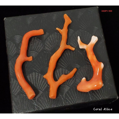 ?Coral珊寶手作-天然momo/阿卡珊瑚自然枝 CO2P1-920