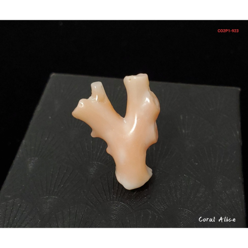?Coral珊寶手作-天然淺水珊瑚自然枝 31.4mm CO2P1-923