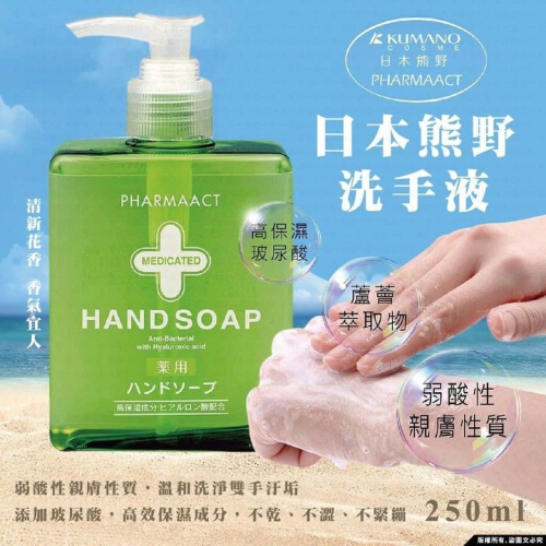 F12E-4681 日本熊野洗手液250ml (綠罐)