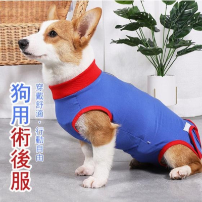 1014寵物狗狗絕育服?現貨 術后康復服 防舔 魔術貼條斷奶服 防護服 中小型犬 高彈性透氣 親膚緊包