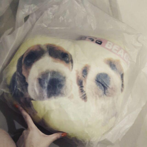 大頭狗愛心抱枕