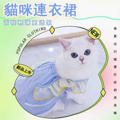 1003?貓衣服?現貨 薄款夏季 寵物小貓咪公主裙 毛孩服飾 幼貓 狗狗衣服