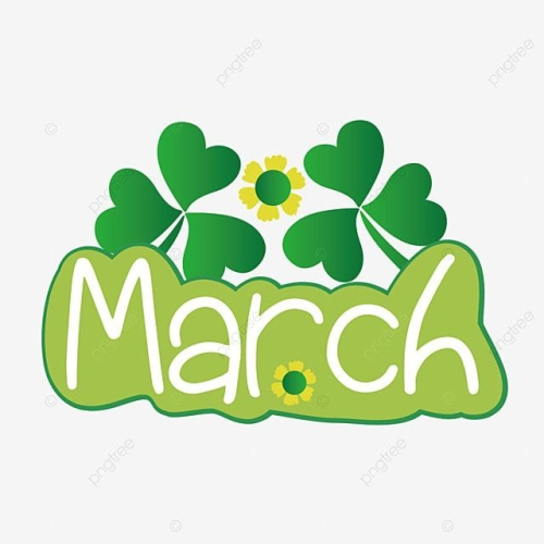 2~3月上架