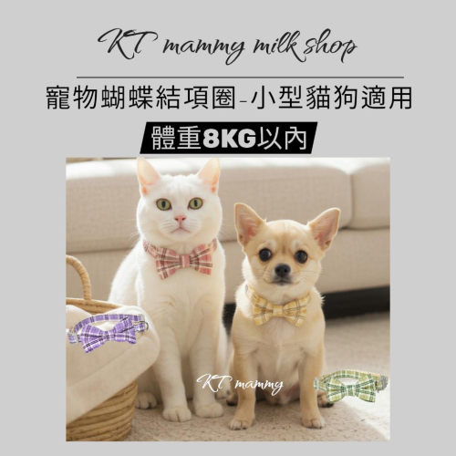 KT媽咪寵物配件用品團購-現貨,新款寵物限量,貓咪蝴蝶結頸圈,柯基泰迪寵物脖圈,千鳥格蝴蝶結項鏈,英倫風項鏈