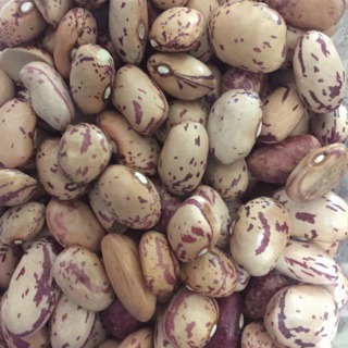 花豆 大紅豆 班豆 哪裡買花豆 冰店用大紅豆 花豆 哪裡買大花豆