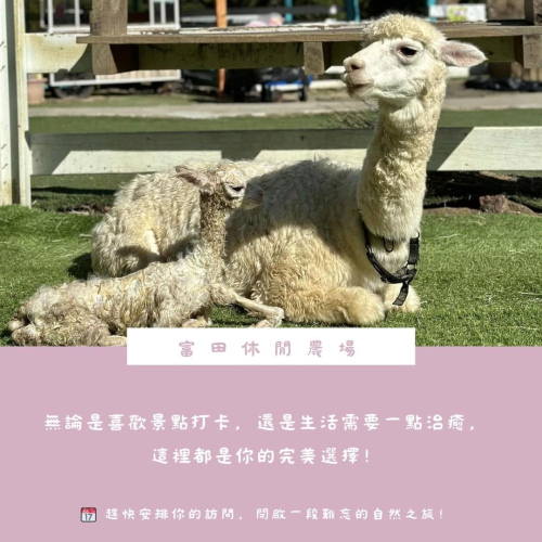 【桃園富田花園農場】入園體驗券（每張可兑換動物飼料ㄧ種或園區消費折抵50元）