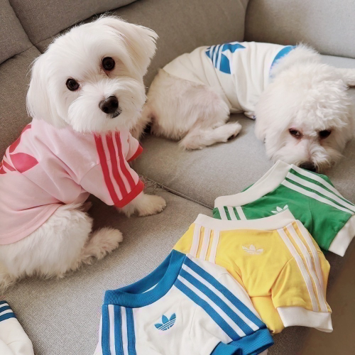 【預購】每日空運回台 adidas originals 上海限定寵物系列代購 愛迪達寵物衣 愛迪達寵物運動衫賣場
