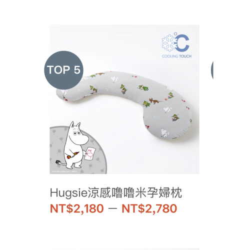Hugsie孕婦枕+秀枕套 9.9成新