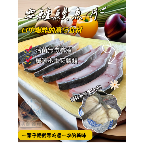 南洋魚販售所 · 活菌養殖 - 雪鱸鰻 魚片 花鰻 雪鰻 鱔王 鱸鰻