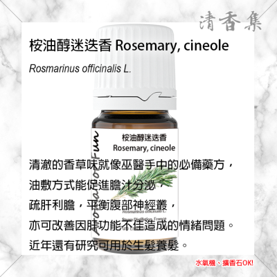 [24h 快速出貨] 芳療級 桉油醇迷迭香精油 按摩放鬆紓壓香氛抗菌抗病毒 清香集