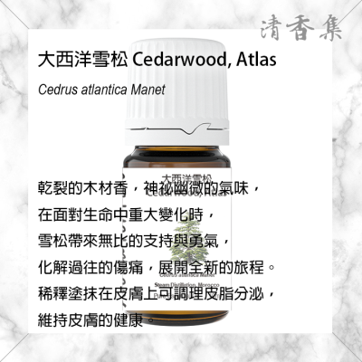 [24h 快速出貨] 芳療級 大西洋雪松精油 10ml 按摩放鬆紓壓香氛抗菌抗病毒 清香集