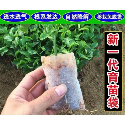 【夜市王】36*34無紡布育苗袋 種植袋25個89元