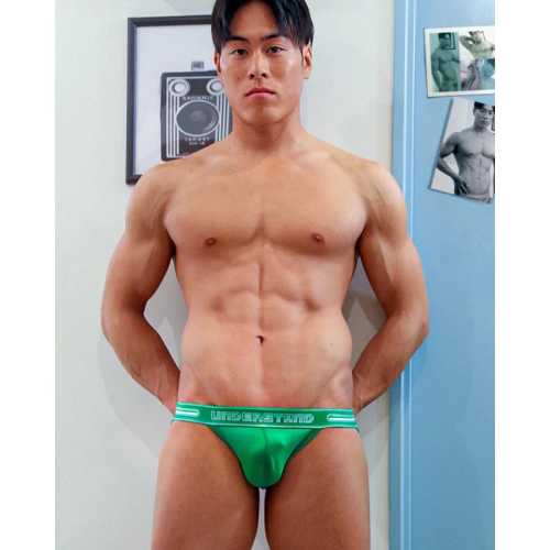 日本 UNDERSTAND 萊卡棉比基尼三角褲 高彈性運動內褲 845龜背芋 綠U4712