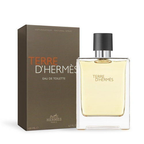 HERMES 愛馬仕 TERRE dHermes大地男性淡香水(100ml)-國際航空版
