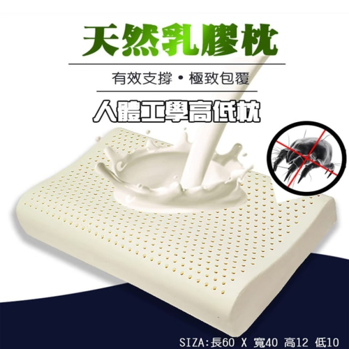 【SUD】人體工學乳膠枕｜斯里蘭卡進口乳膠/人體工學枕頭/防蹣枕芯 /透氣枕芯/枕芯/止鼾枕芯/乳膠枕芯/飯店枕芯/