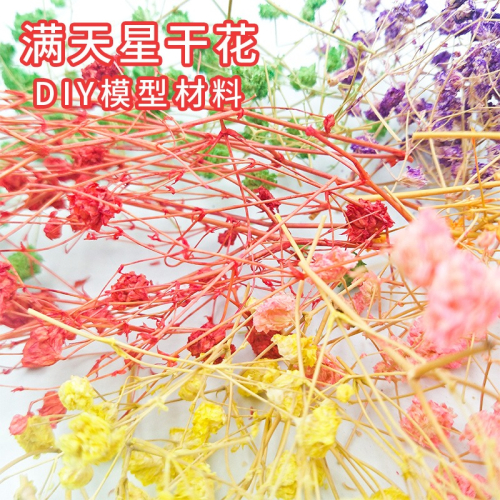 建築沙盤模型材料場景景觀模型diy手工乾花手配件乾花滿天星